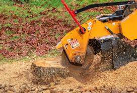 Reliable Mount Pleasant, WI Tree Services Solutions